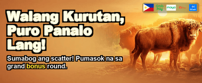 Win Big at zs777 Slot!